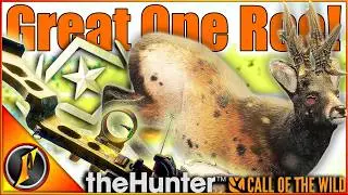 I Hunted a GREAT ONE ROE DEER with the BOW! | theHunter Call of the Wild