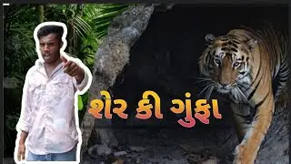 ||શેર કી ગુંફા ||  ! Sher ki gufa !  Dangi Bantai gaya sher ki gufa me ab Dangi  bantai ka kya hoga