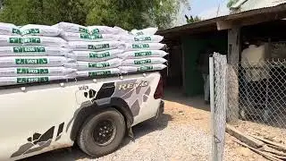 Duck farming Cambodia