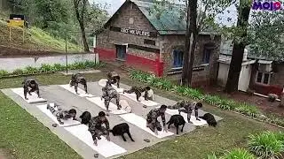 J&K | Indian Army's 'Silent Warriors' Join Yoga Day Celebrations In Poonch
