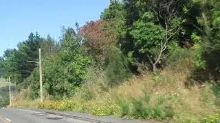 Dunedin, New Zealand | Cruise Stop Views from the Bus!