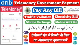 Saudi Government Payments | Telemoney Government Service | Telemoney Bills Payments