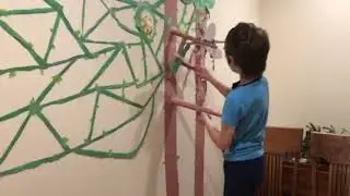 Alex's Rainforest