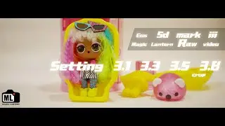 5d mark iii Magic lantern Raw video crop setting