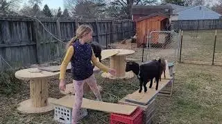 HH goat obstacles, part 1