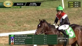 Tampa Bay Downs Live Stream