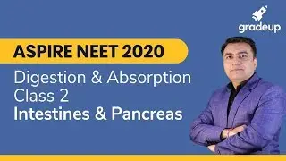 Digestion and Absorption | Intestine, Pancreas | NEET 2020 | Gradeup NEET