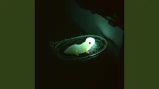 The Spore Song