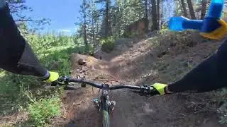 Cannell Plunge MTB
