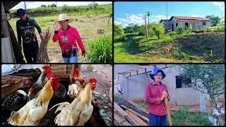 👩‍🌾 Trabalho, Natureza e Paz – Assim É a Vida na Roça! #vidanaroça 