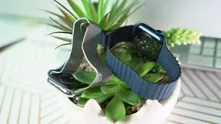 Apple Watch Series 6 Leather Loop Diver Blue vs Apple Watch Milanese Loop Band | 44mm