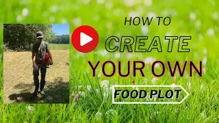 Big Tine Food Plot