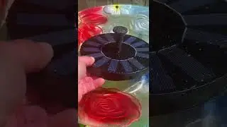 Solar water fountain came in the mail&hellip;