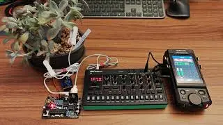 Singing plant &nbsp;(biodata sonification)