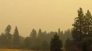 Smoke Filled Sky in Sisters, Oregon 9/7/2020