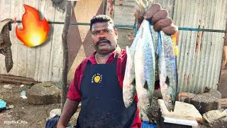 SMALL VANJARAM FISH CUTTING💥| KASIMEDU SELVAM FISH CUTTING | FULL HD | CKFC🔪