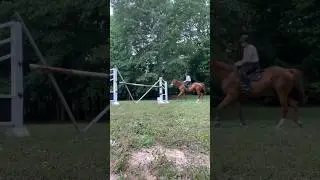 It&rsquo;s crazy how tall I look on a 16 hand horse lol 🤣 also handsome Colty ❤️#eventing #equestrian