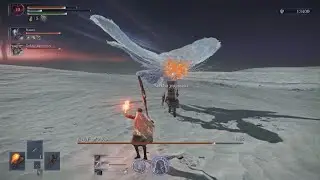 need at least 6 STARLIGHT SHARDS for the Nightlord Fight