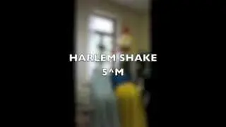 Harlem Shake Sanmicheli VERONA