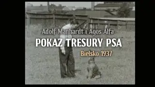 Pokaz tresury psa - Bielsko 1937 - Adolf Manhardt