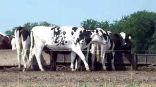 Lawyers in Ellis County, Texas Part 2