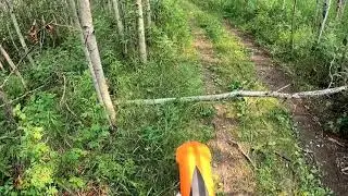 Nisbet - Bear Hill Trail - 18-Jul-2021