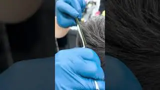 Unleash Shear Precision: Mastering Cuts with Fagaci Elite Shears!