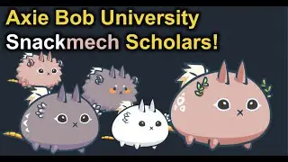 Axie Bob University Snackmech Scholars!
