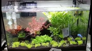 Mise en eau aquarium 63 Litres (Tropica) + concours !