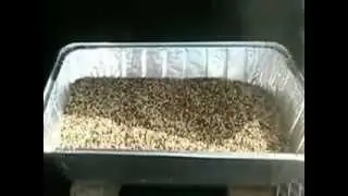 Cold Smoking Grain for Home Brew
