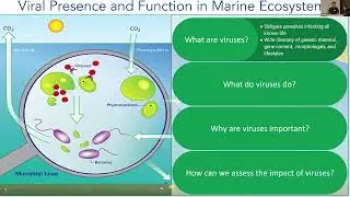 Marine Viruses Plenary OCB2024