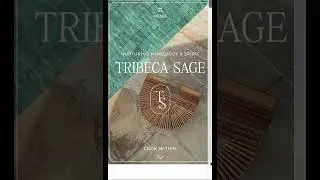 Tribeca Sage Showit Website Template Preview