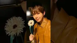 🤎 #kangdaniel #강다니엘 #kpop #backseatpromises #pulsephase