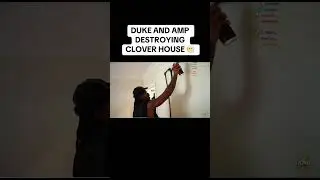 DUKE SPRAYING THE WALL FROM THE CLOVER #funny #prank #dukedennis #kaicenat #girlhefunny #amp