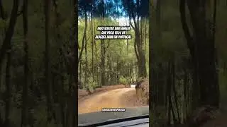 Aluguel barato heim ! 🇵🇹😅✌🏽💶Conhece algu&eacute;m? 😁