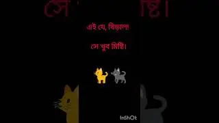 The introduction of the cat does not eat everything!#new #cat#jaidmeel #viral #trending #ji.isbat