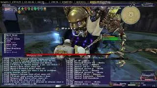 Wulgaru ZNM T2 DRG Solo 75 Cap