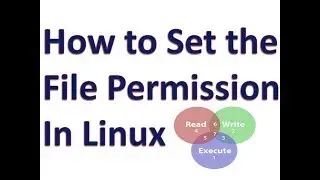 How to set File Permission in Linux