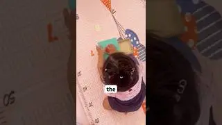 Curious Cub Review | Honest Experience After Months of Use | Montessori Baby Toys 6-12 Months