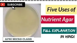 Composition, Preparation and Uses of Nutrient Agar | One PAGE