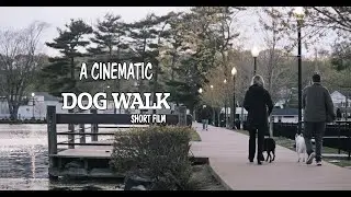 A Cinematic Dog Walk