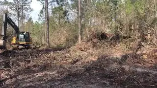 Excavator swamp road building North Florida