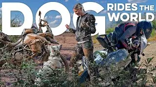 This WOMAN and DOG are riding a motorcycle around the world!