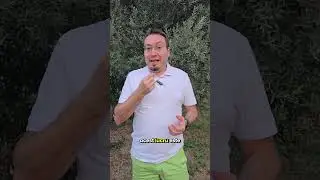👅 Crezi că &bdquo;aciditatea&rdquo; se simte la gust?