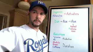 Understanding Adrenal Fatigue Part 2 - Dopamine Depletion