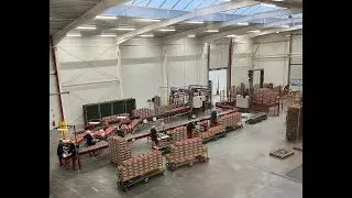 Taks vine tomato processing and palletizing system for a customer in the Czech Republic.