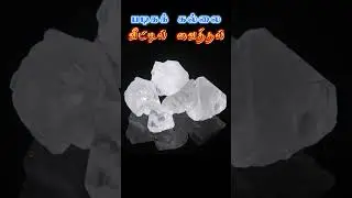 வீட்டில் வைக்க வேண்டிய வாஸ்து சிலைகள் #alumstone #alum #padigararam #padikaram #homevastutips #home