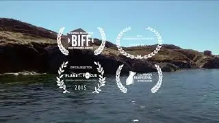 Strange And Familiar - Architecture On Fogo Island | Official Trailer