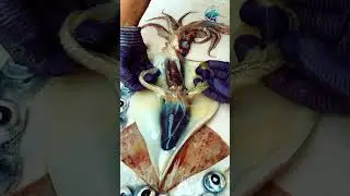 🦑 Clean Squid Like a Chef in 30 Seconds! 🦑🧼 #seafood #squid #cleaning