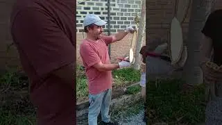 escova de macaco